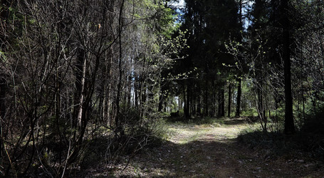 Similar image 20053304