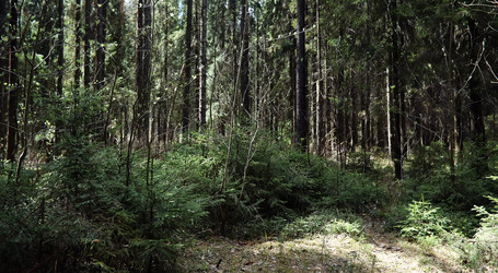 Similar image 20053306