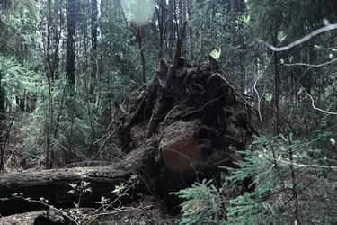 Similar image 20053312