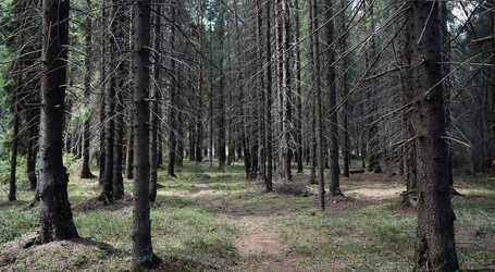 Similar image 20053313