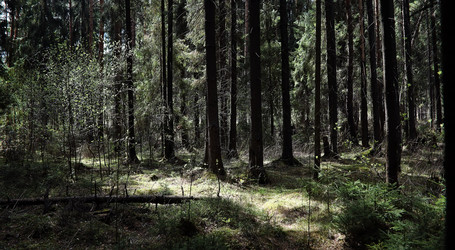 Similar image 20053319