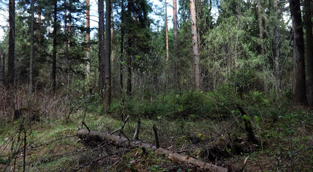 Similar image 20053321