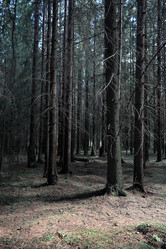 Similar image 20053323