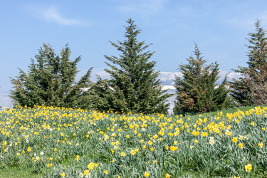 Similar image 20194805