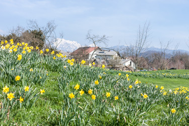 Similar image 20194783