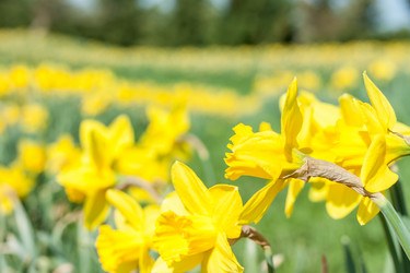 Similar image 20194071