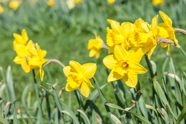 Similar image 20194072