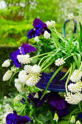 Similar image 20069843