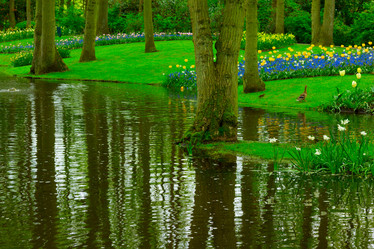 Similar image 20069845