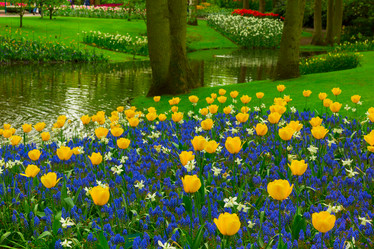 Similar image 20069846