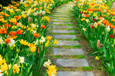 Similar image 20069848