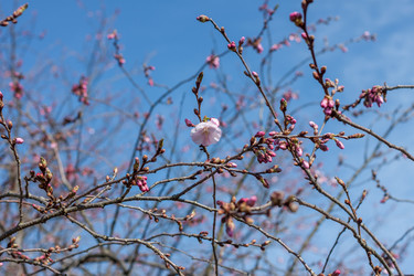 Similar image 20194368