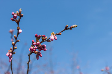 Similar image 20194383