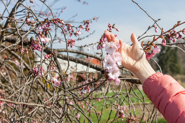 Similar image 20194384