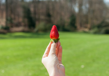 Similar image 20194386