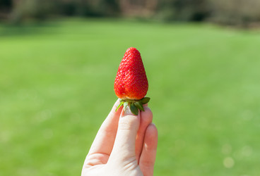 Similar image 20194387