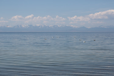 Similar image 20105701