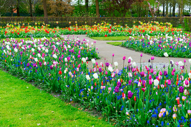 Similar image 20069853