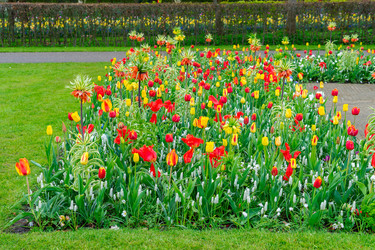 Similar image 20069854