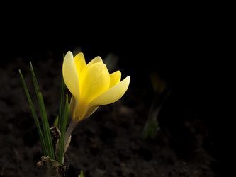 Similar image 19966053