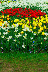 Similar image 20069855