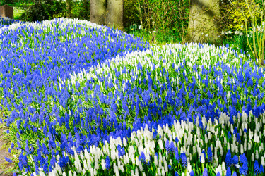 Similar image 20069856