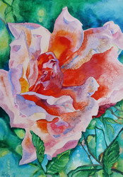 Similar image 19950537