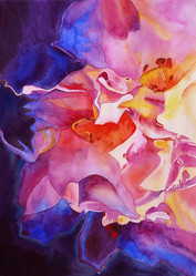 Similar image 19950539