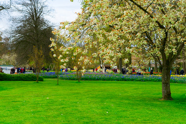 Similar image 20069859