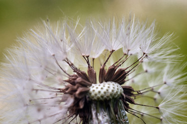 Similar image 19951866