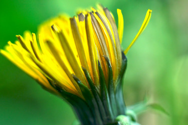 Similar image 19951871