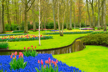 Similar image 20069862