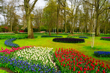 Similar image 20069863