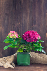 Similar image 19944748