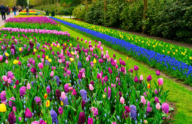 Similar image 20069866