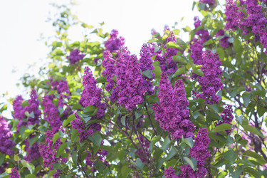 Similar image 19944809