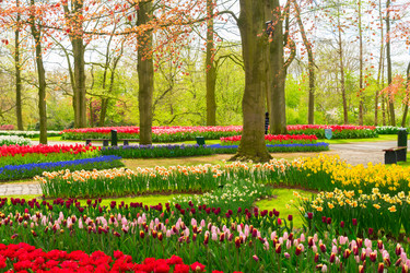 Similar image 20069869