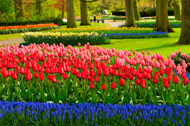 Similar image 20069870