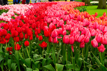 Similar image 20069871