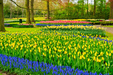 Similar image 20069876