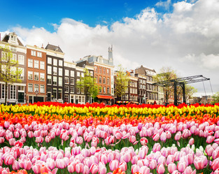 Similar image 20069882