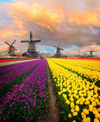 Similar image 20069888