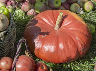 Similar image 20166275