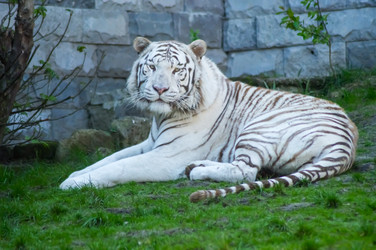 Similar image 20121705