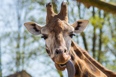 Similar image 20121714