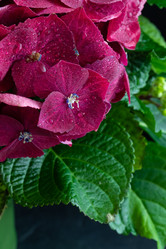 Similar image 19944875