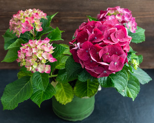 Similar image 19944885