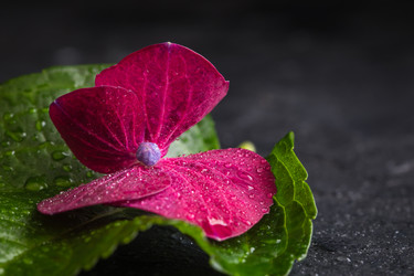 Similar image 19944857