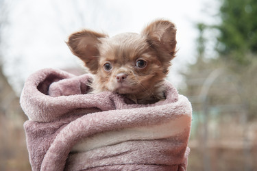 Similar image 20058419