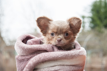 Similar image 20058347